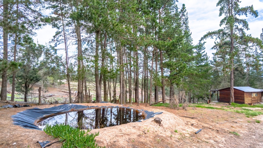 Commercial Property for Sale in Sedgefield Rural Western Cape